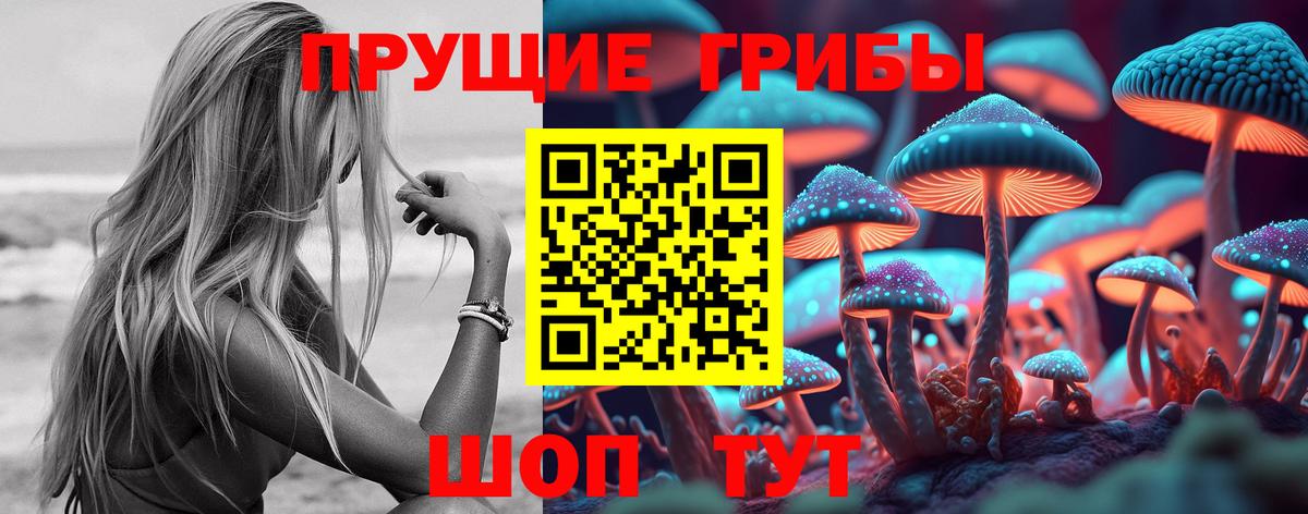 Галлюциногенные грибы Psilocybine cubensis  купить наркотики цена  Клинцы  Вход с VPN 
