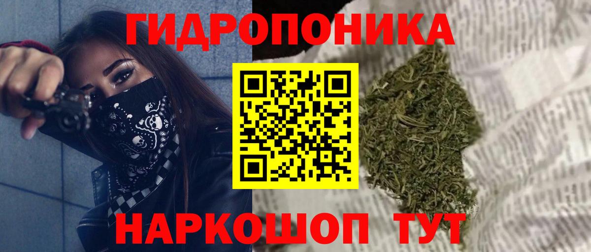 Бошки Шишки ГИДРОПОН Клинцы